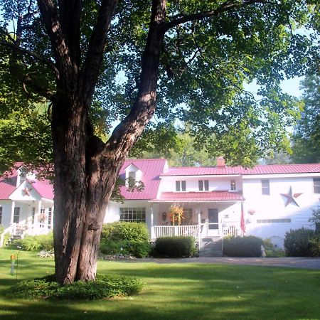 נורת' קונוויי Buttonwood Inn On Mount Surprise מראה חיצוני תמונה