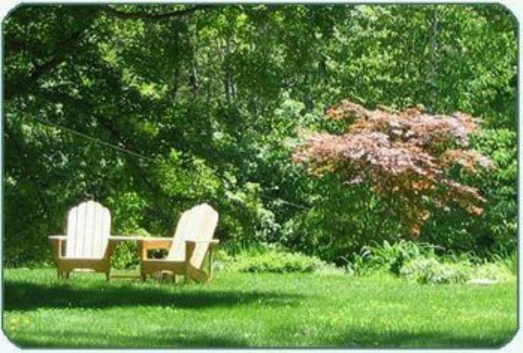 נורת' קונוויי Buttonwood Inn On Mount Surprise מראה חיצוני תמונה